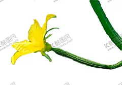 绿色植物 【酷图网】绿色植物,热带树叶,小清新树叶,植物背景,背景简约,植物树叶,竹排,竹栏杆,电视背景墙,背景墙,装修,背景墙效果图,室内背景墙,效果图,免扣,壁画,装饰画,现代,壁纸,墙纸,沙发背景墙,砖墙,墙面,绿色,藤蔓,蔷薇,玫瑰,蝴蝶,树叶,边框