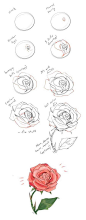 how to draw a rose step by step drawing guide. Learn how to draw flowers like roses of lilies. Learn about Flower in drawing. #drawings #howtodraw