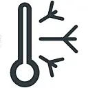 Thermometer