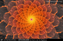 木木木木头呀采集到花光效