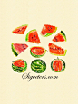 手绘水彩插画素材 水果植物系列 西瓜