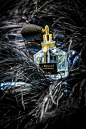 【Guerlain—Le Bolshoi Black Swan大剧院黑天鹅女香】诞生：2014，仍旧是莫斯科大剧院系列，这一季是黑天鹅，香调：花、木、麝、前调：柑橘香、中调：茉莉、茶、檀木、基调：白麝香。