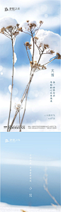 大雪小雪海报