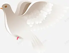 手绘灰色鸽子高清素材 免抠PNG 小鸟 手绘 灰色 羽毛 翅膀 鸽子 免抠png 设计图片 免费下载