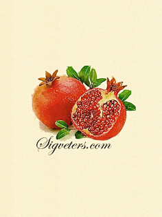 花果山十三太保 花瓣网 陪你做生活的设计师 美食的世界大师手绘复古水彩蓝莓