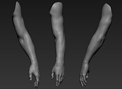 六萬采集到Anatomy Hands & Feet