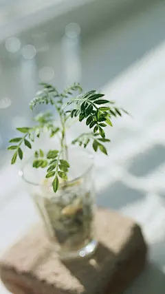 【高清手机壁纸。风景美图。城市风光摄影。设计灵感。桌面锁屏。日系韩系欧美。小清新。】❤️