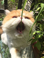 来自相册