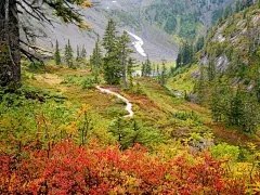 唯美深秋自然清新风景壁纸桌面下载桌面壁纸1