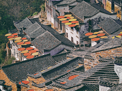 志明院長采集到Y意境