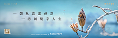 S阳光明媚采集到节气微信