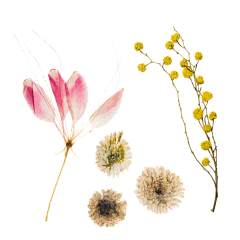 南城南v北城北采集到素材