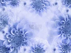 花白蓝色美丽的背景。浅蓝色花朵的壁纸。花组成。大自然。' n