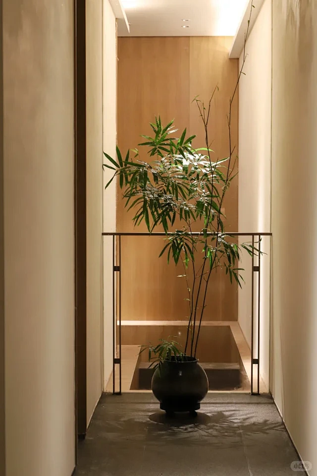 打造100家植物空间｜第50家三湾迎宾馆...