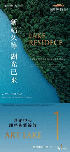 how想猫的兔子采集到酒店文旅海报