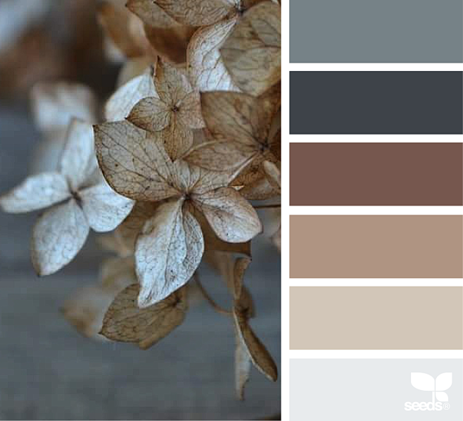 dried tones