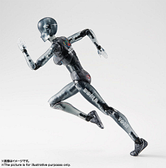 rogeda采集到SHF