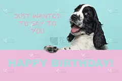 生日贺卡与可爱的快乐微笑可卡犬小狗悬挂在一个粉红色的板上的蓝色背景祝生日快乐