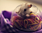 可爱的仓鼠宝宝 主题宠物摄影欣赏 萌 宠物摄影 可爱 动物 仓鼠 