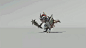 【新提醒】《全面战争：战锤2》动画作品集 - David Vince 恐龙 飞龙 蜥蜴 怪物动画 - 游戏动画 - CGJOY