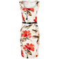 Precis Petite Modern Floral Dress ($150) ❤ liked on Polyvore