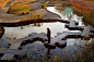 Some day when our boardwalk in our wetlands gives out...this is what I want to replace it. "Anjo, Japan": 