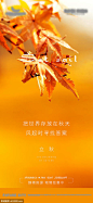 源文件下载 房地产秋天立秋秋景意境节气 