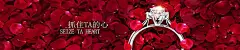 红花,花朵,花瓣,花海,红色花卉,海报banner,文艺,小清新,简约图库,png图片,,图片素材,背景素材,3574713北坤人素材@北坤人素材