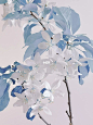 jpg,309x412 像素