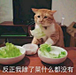 无聊图 - 蛋友贴图专版
