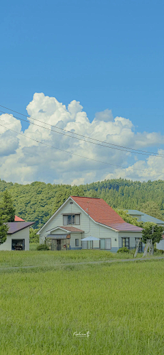 析夕采集到绿色