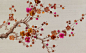 prunus | Fromental: