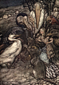 英国著名插画艺术家Arthur Rackham（亚瑟 拉克姆)作品欣赏——《爱丽斯梦游奇境》（1907）