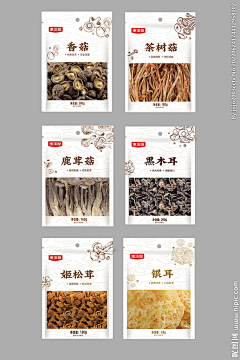 蒲井秀采集到茶