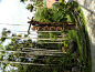 DSCN8856