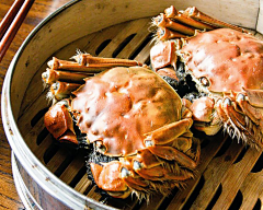 Lynnbela采集到food