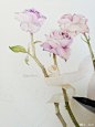 花事II
温柔的花，开在落叶缤纷的季节里
@手绘时光集  @本意绘片馆  @水彩初学教程  @水彩花卉教程 ​​​​