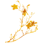 flower_and_leave _01