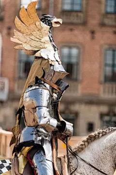 【Crest on the helm】不论是在中世纪流传下来的图书插画中，还是在现在的各种中骑士比武表演中，甚至在博物馆中，看到这种装饰着夸张纹章的头盔，就会自动地脖子疼.....