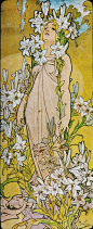 mucha