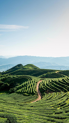 哈喽Mr’DJ丶采集到节气