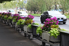 嗨皮兔采集到D 景观示意图-花坛、花箱、树池