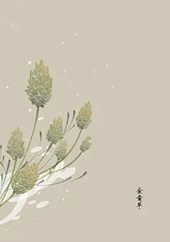 二月份的生日花13~29号_artistic青尘__插画师作品_涂鸦王国gracg.com