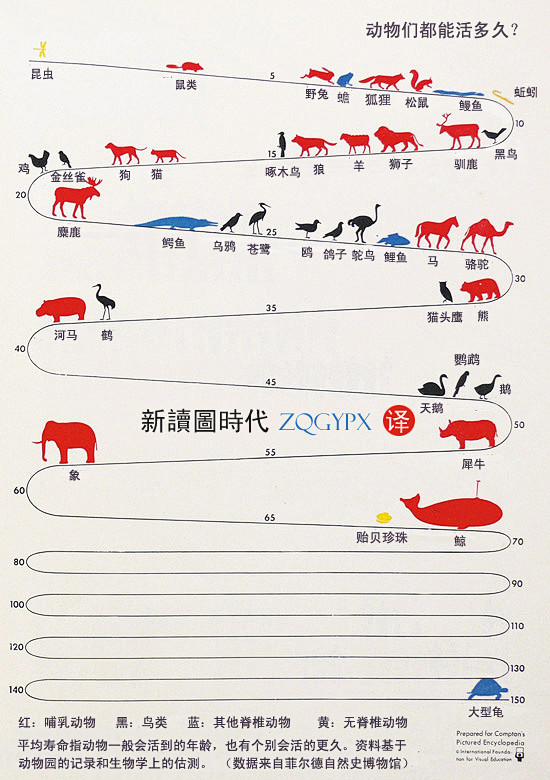 动物寿命时间线
