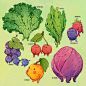 #设计美学#  #插画#可可爱爱的蔬菜拟人，完全不舍得吃了！by Johanna Puhl