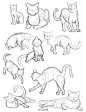 #绘画学习# 
一组猫动态绘画素材！速速收起来，以后可以画猫吸啦！ ​​​​