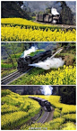 【四川嘉阳小火车】到四川乐山坐坐窄轨蒸汽小火车吧！——一列古老蒸汽小火车，发出“呜---呜----”的汽笛声，在窄窄的铁轨上，以每小时20公里的速度前行，这样的速度可以让你慢慢欣赏窗外的大片油菜花。每年的4月份，是那里最美的时候 .