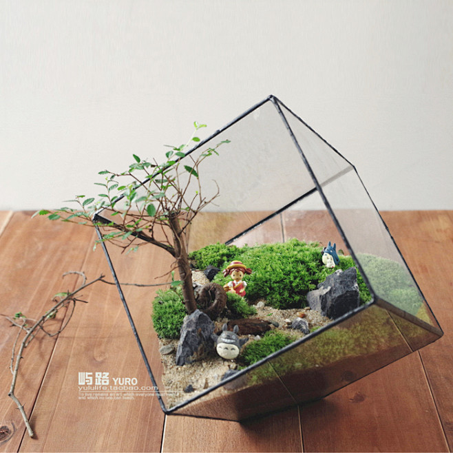 屿路生活 限量新品 苔藓微景观 苔藓生态...