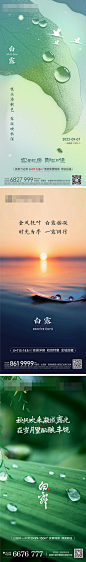 白露节气海报