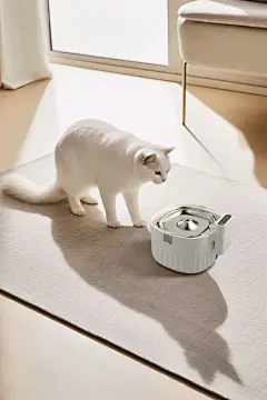 咔神-浅色宠物自动饮水机-家居风2